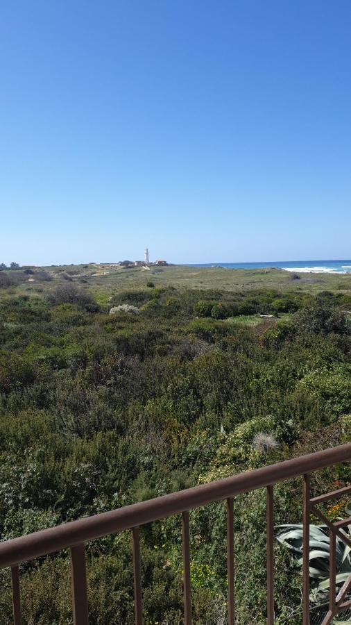 Ancient Paphos - Cozy Place Next To The Sea, Marina, Historical Sites, Buses, Mall, And Market 외부 사진