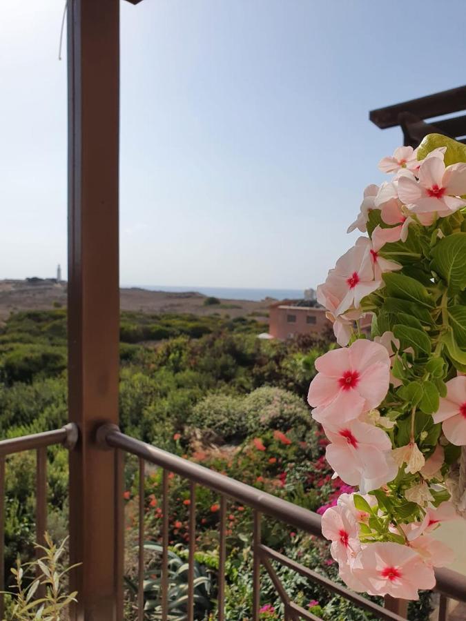 Ancient Paphos - Cozy Place Next To The Sea, Marina, Historical Sites, Buses, Mall, And Market 외부 사진