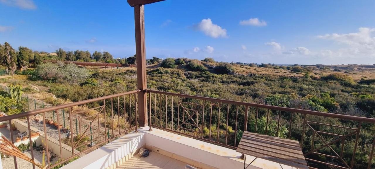 Ancient Paphos - Cozy Place Next To The Sea, Marina, Historical Sites, Buses, Mall, And Market 외부 사진