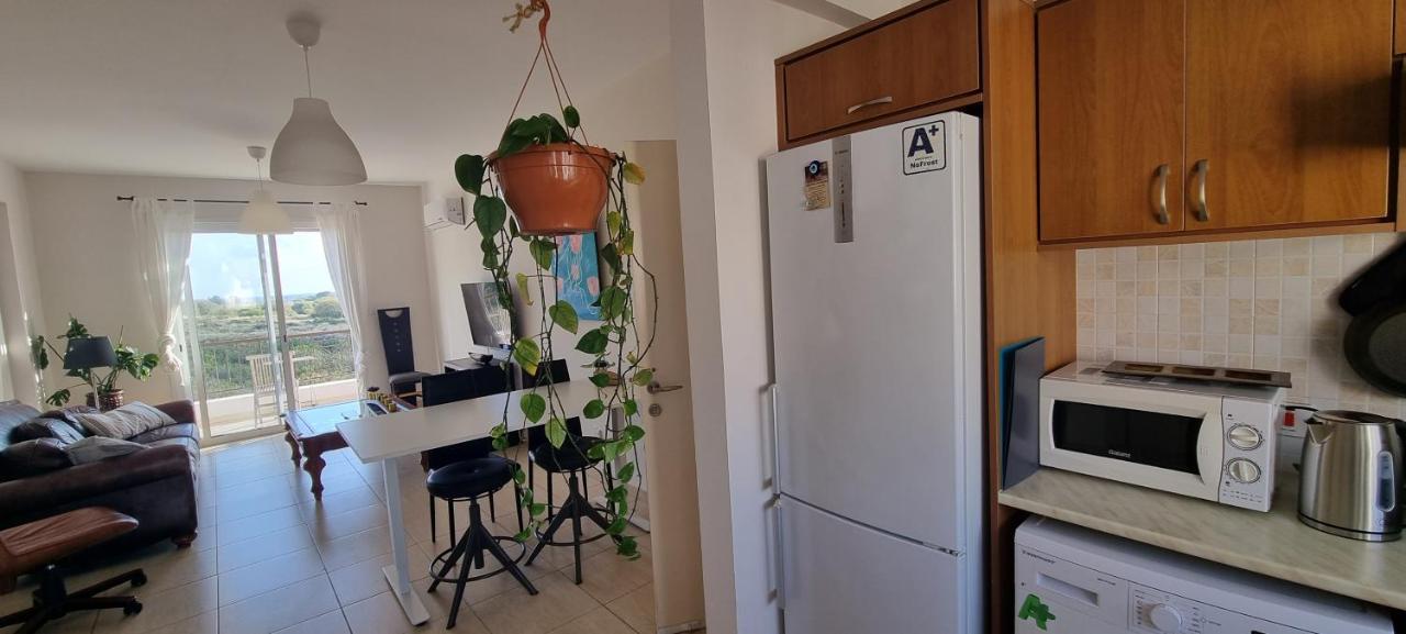 Ancient Paphos - Cozy Place Next To The Sea, Marina, Historical Sites, Buses, Mall, And Market 외부 사진